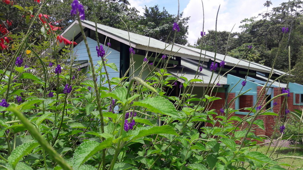 Hotel La Selva Biological Station Sarapiquí Exterior foto