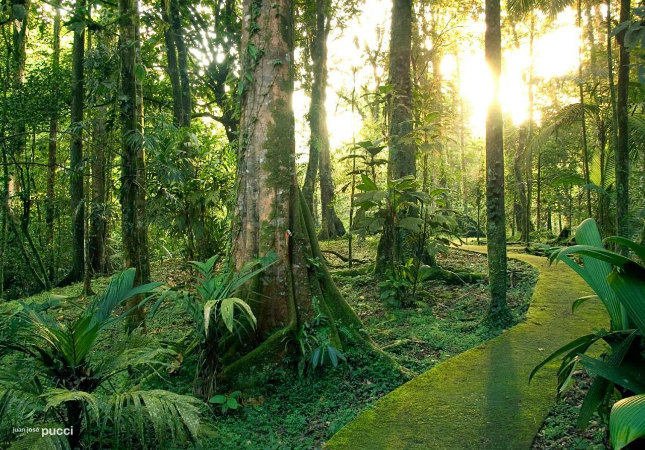 Hotel La Selva Biological Station Sarapiquí Exterior foto