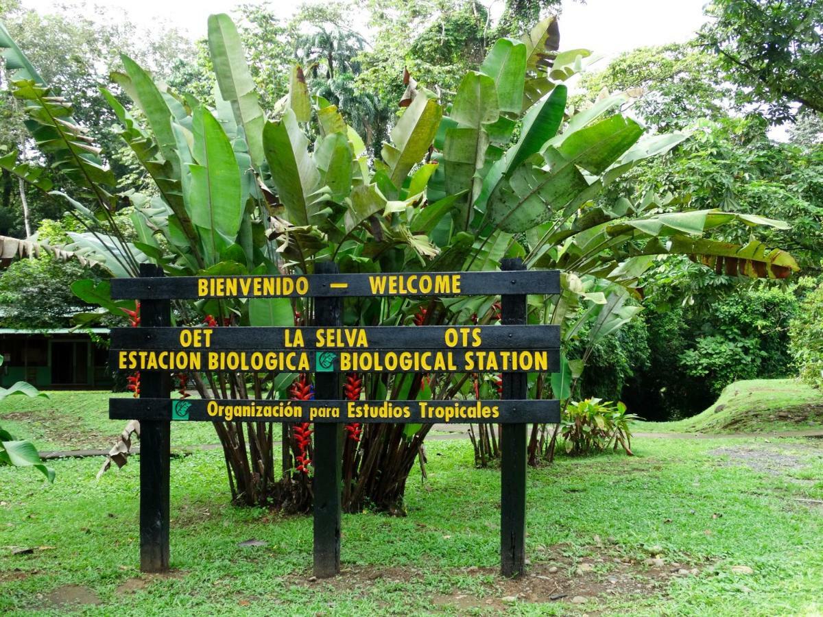 Hotel La Selva Biological Station Sarapiquí Exterior foto